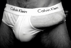 pleasuresart:  Calvin or Klein?