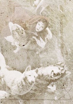 georginakincaid:  LITTLE RED RIDING HOOD AS THE MOTHER OF WEREWOLVES