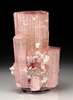 fuckyeahmineralogy:  Elbaite; Paprok, Nuristan Province, Afghanistan