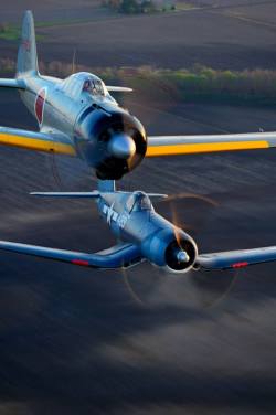 beautifulwarbirds:  Corsair and Zero.  Former foes in the skies