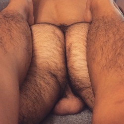 thebearunderground:  Follow The Bear UndergroundOver 46,000+