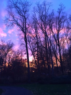 moxseblood:  Wow