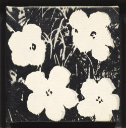 nobrashfestivity:    Andy Warhol, Flowers 1965more