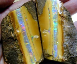 mineralists:  Split Boulder Opal(Unknown source? Looked for one