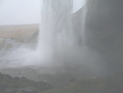 weirdovibes:  g-ccii:  Pale blog, new followers can self promote