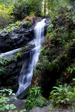 steepravine:  Cascading Waterfall In Russian Gulch Redwoods (Mendocino,