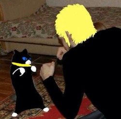 shorbz:Morgana: *breathes* Ryuji: Square up