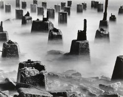 joeinct:  The Pilings, Photo by Wynn Bullock, 1958