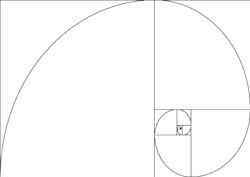 xysciences:  The Fibonacci spiral, tending from infinity. [Click