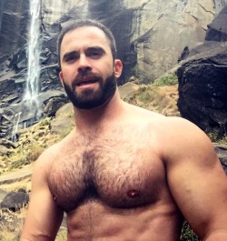 hairytreasurechests:  If you also like hairy and older men who