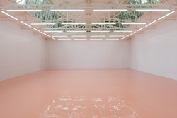 softpyramid:  Pamela Rosenkranz Our Product, 2015installation