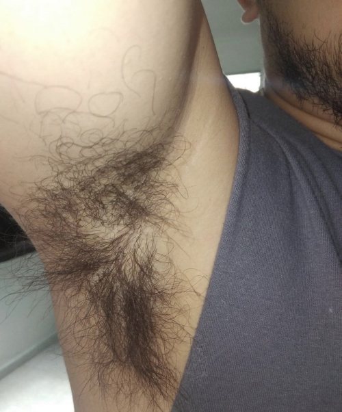 hairysweatysmelly.tumblr.com/post/673688715089051648/