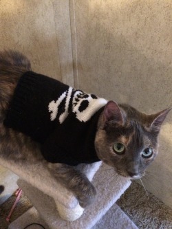 corporation-cats:  Holland wants to know if she’s spooky enough