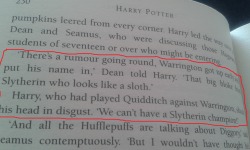 crazybutperfectlysane:  So I was rereading Harry Potter, when