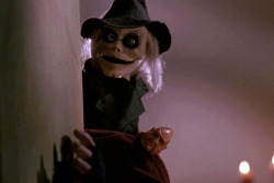 brundleflyforawhiteguy:  Puppet Master (1989)  My childhood never