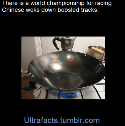 ultrafacts:    Wok racing has been developed by the German TV