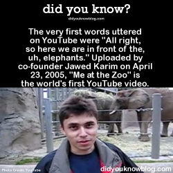 did-you-kno:The very first words uttered on YouTube were “All