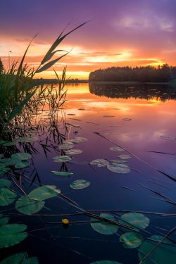 djferreira224:  Colorful Sunset by Karel Triska 