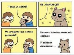 conchesumadres:  eh Adquirido una inmunidad anti-adorabilidad