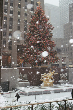 r2–d2:  Rockefeller Center with snow falling by (MairimG) 