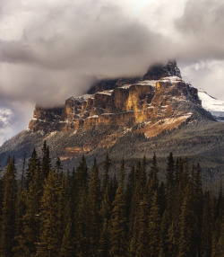 seebest: Castle Mountain - Banff National Park   www.instagram.com/calebestphotography