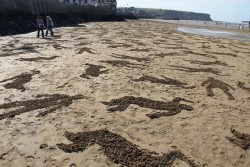 odditiesoflife:  9,000 Fallen Soldiers Stenciled into Sand at