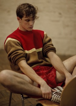 🐧 You Must Be Gay+ To View This Blog*