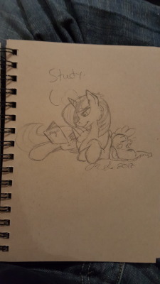 inkybeaker:  Sketches done during Bronycon! :3 Sorry for the