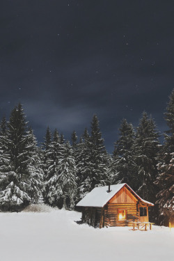 avenuesofinspiration:  Cabin Life | Source © | AOI