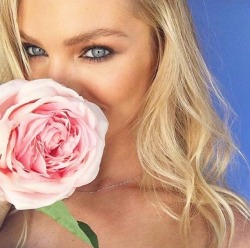 i-love-candice: Flawless 🌹 😍