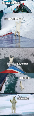 funnyandhilarious:  A Very Helpful Polar Bear » 