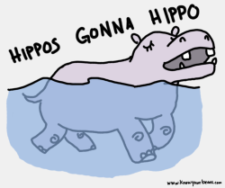 hihippos:  Hippos gonna hippo!