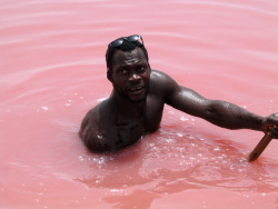  Lake Retba of Senegal 