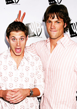 jeffmorgans:  one hunred j2 photos | 41/100