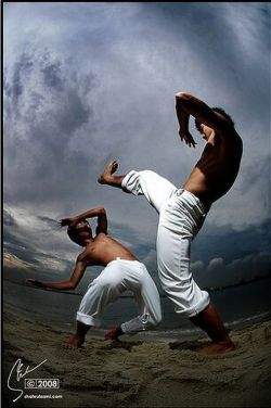 kungfu-taichi-swords-wingchun:  capoeira, so cool.Buy Tai Chi