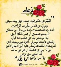 ottaaaaa:  ♥ اللهــم آمـــين ♥