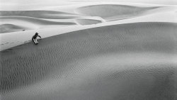 adanvc:  Peruvian Desert. by Daphne Dougall de Zileri