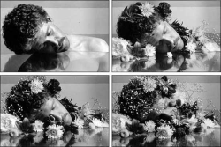 boyirl:  Duane Michals - The Dream of Flowers 