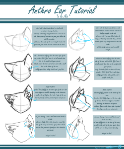 rainbows-and-paws:  Anthro Ear Tutorial by AlliNix  Ooo~ :3