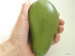 wikihow:  Grow Your Own Avocados at Home?It’s easy!Learn how: Grow