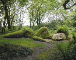 sixpenceee:  This sleeping moss giant is located in The Lost