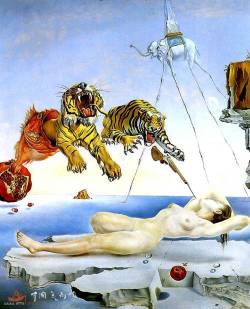 pixography:  Salvador Dali 