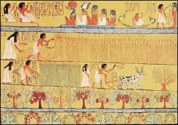 ancient-egypts-secrets:  The fields of Aaru or the Egyptian