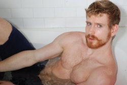 beardedandburly:  Unknown ginger bearded man [View all posts