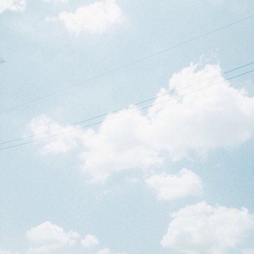 skyberrii:  all photographed by skyberrii   â™¡.Â°â‘…     