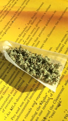 reddlr-trees:  Who prefers joints over blunts?