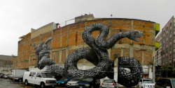 Mexico - ROA