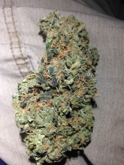 bluntwrapmcstickyfingers:  This strawberry cough is soo dank