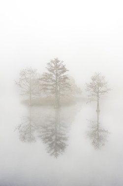 and-her-insatiable-curtiosity:  Island in the mist.