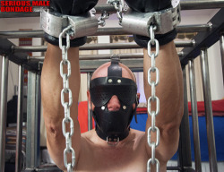 allgaybondage:  Hot guys near you are looking for action: http://bit.ly/1IX5qFw